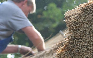 professional Nerabus thatchers